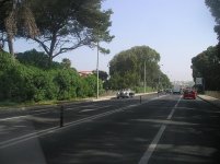 IMGP1647.jpg