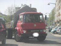 IMGP1651.jpg