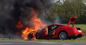 brandje_110698h.jpg
