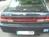 maxima.JPG