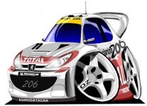 206wrc2.jpg