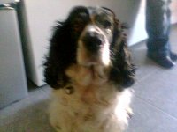 Img003.jpg