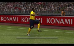 Pes01.jpg