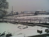 picture005.jpg