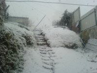 DSC00142.JPG