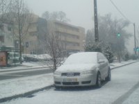 DSC00147.JPG
