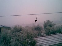 Img005.jpg