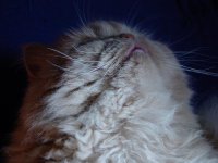 DSC00623.jpg