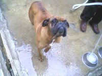 img14_20090109.jpg