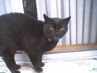 img5_20090208.jpg