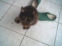 img6_20090208.jpg