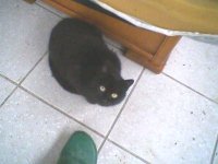 img7_20090208.jpg