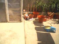 img0_20090412.jpg
