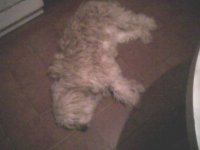 img22_20090110.jpg