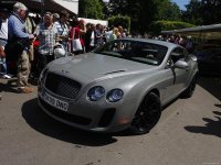 Bentley-Continental_Supersports_2010_1600x1200_wallpaper_04.jpg