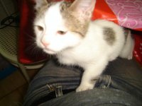 DSC02116.jpg