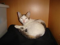 DSC02227.jpg