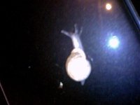 SP_A3344.jpg
