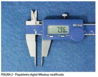 a10fig02.jpg