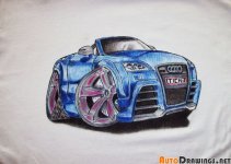 user_564_audi.jpg
