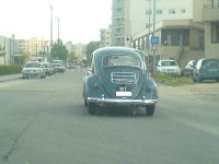 DSC03805.JPG