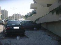IMGP3418.jpg