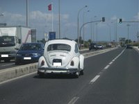 IMGP3610.jpg