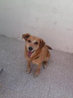 Foto0005.jpg