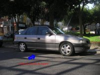 IMGP4324.jpg