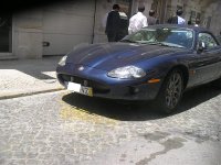 IMGP4373.jpg