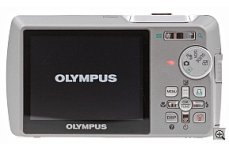 ZYBACK-MD.jpg