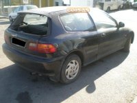 honda_civic_1993_96088529689561978.jpg