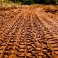 Bruno155
