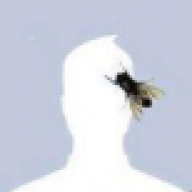 Pedrituh