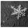 snow