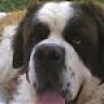 Benny
