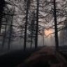 MrDoe