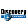 Discovery