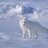 whitefox